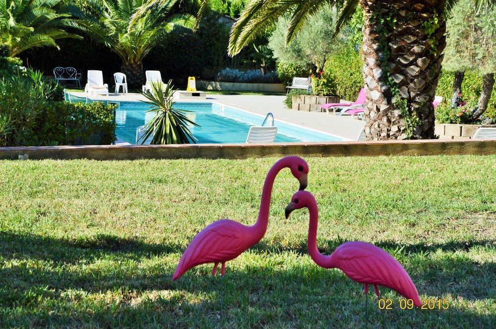 Villa Les 4 Saisons Saint Tropez 外观 照片